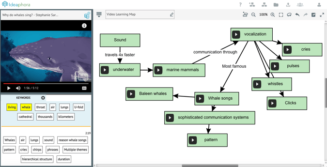 Video Learning Map Example.png